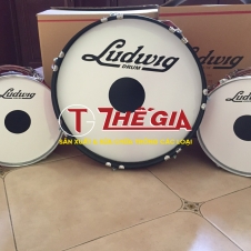 TĐ - GL